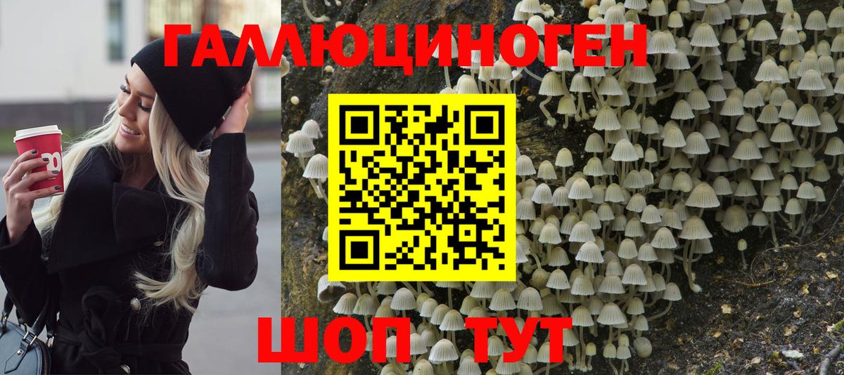 Псилоцибиновые грибы Cubensis Новочеркасск