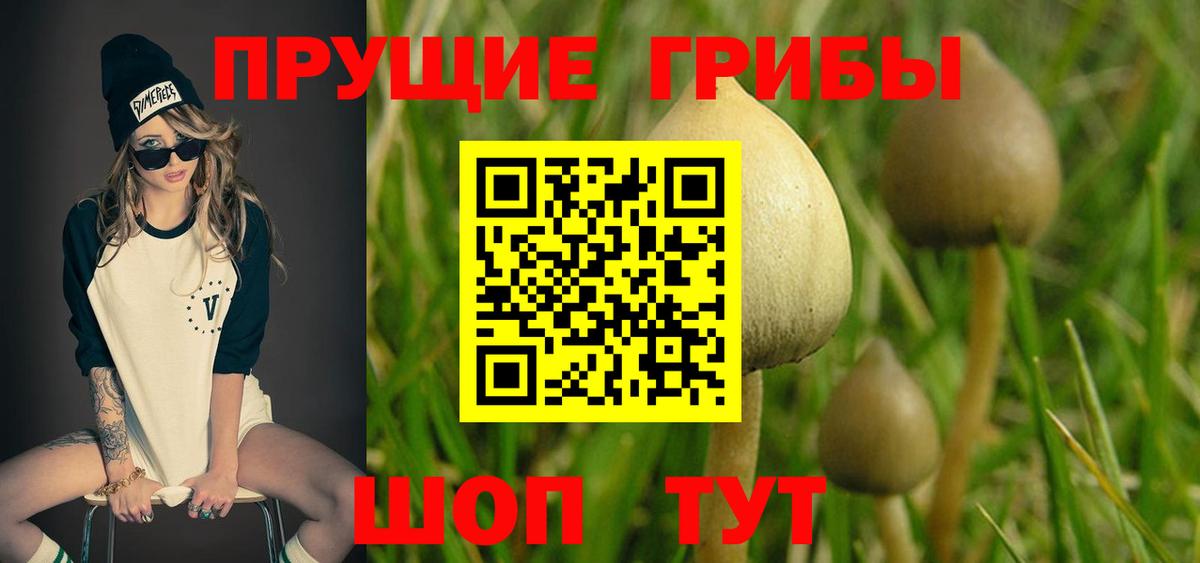 Новочеркасск  Галлюциногенные грибы мухоморы  Вход с VPN 